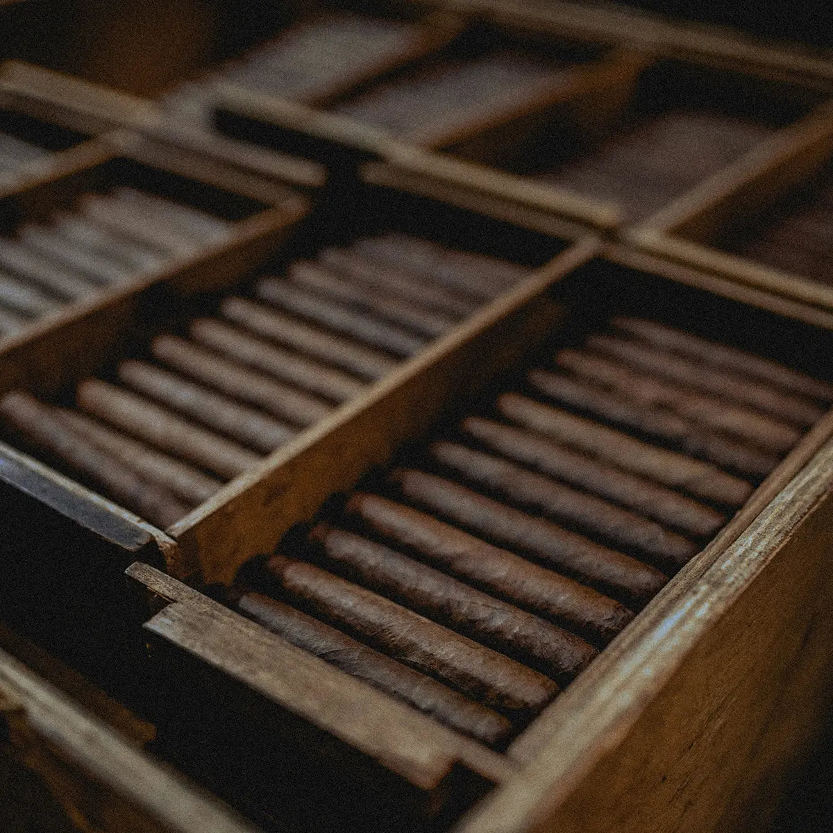 Tobacco Vanilla